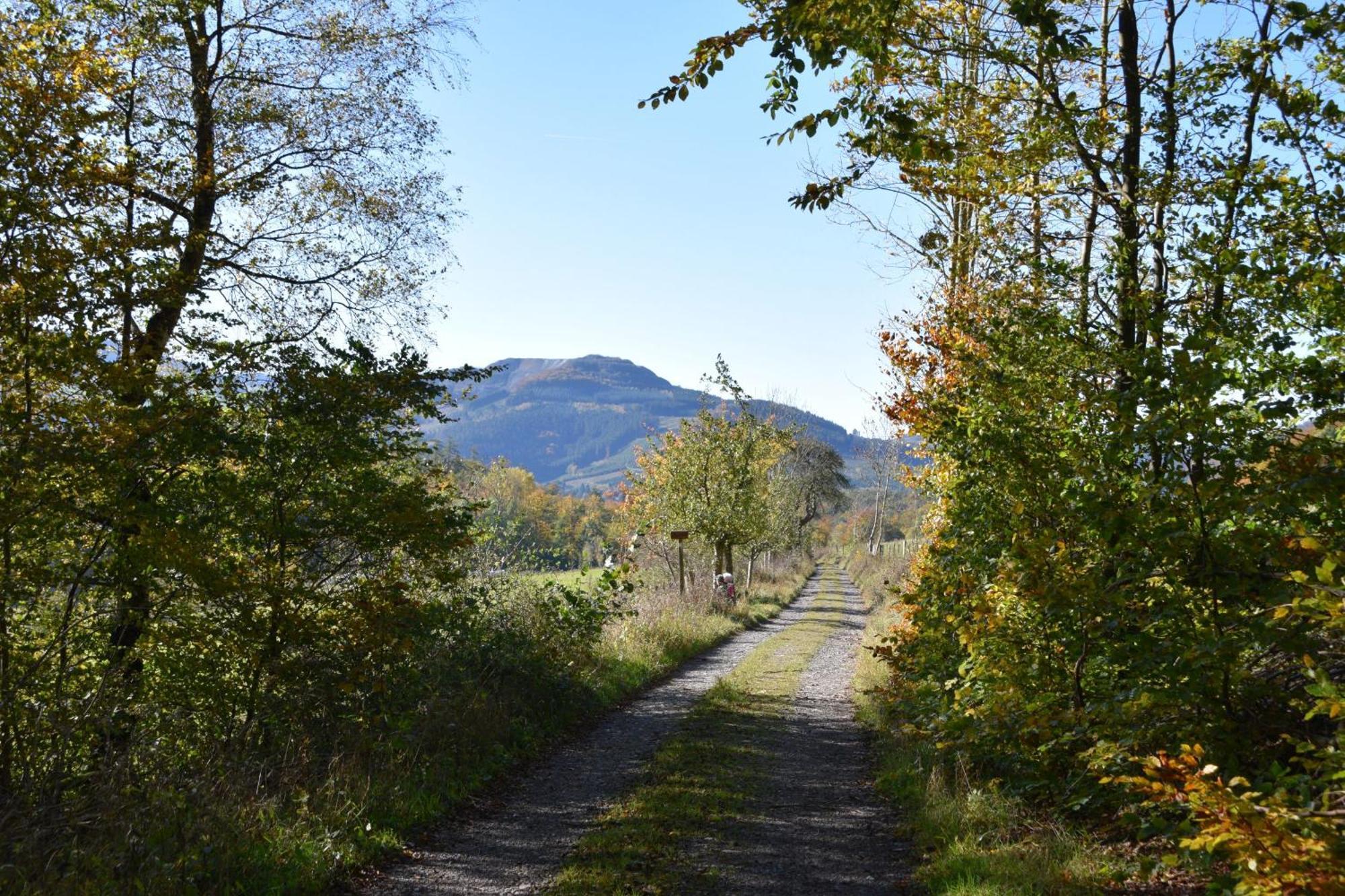 Ferienwohnung Panoramablick Olsberg Esterno foto