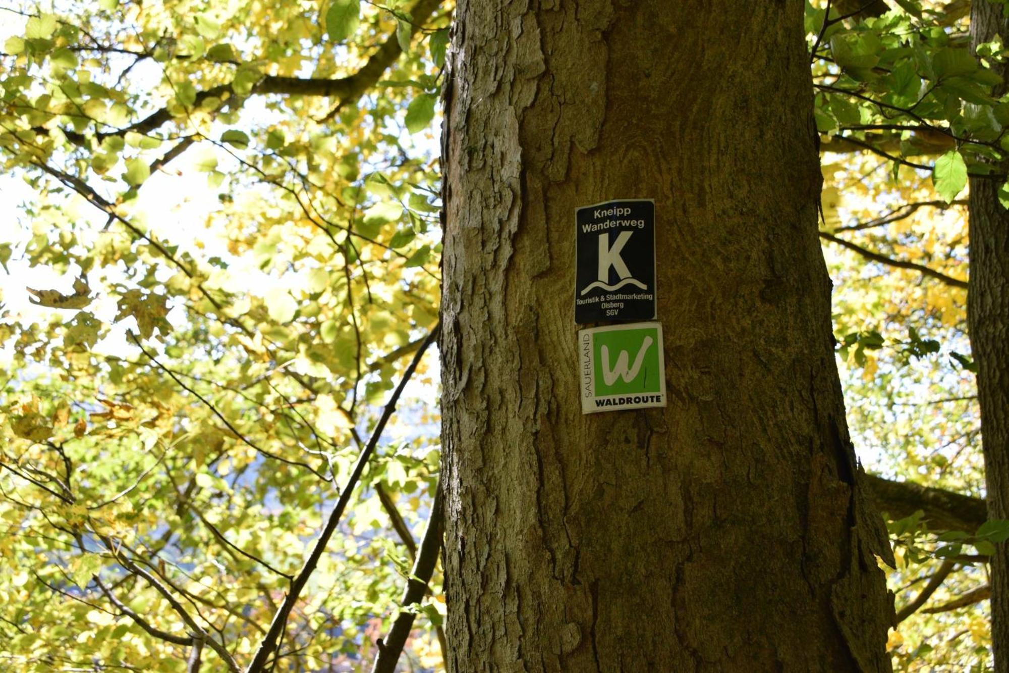 Ferienwohnung Panoramablick Olsberg Esterno foto